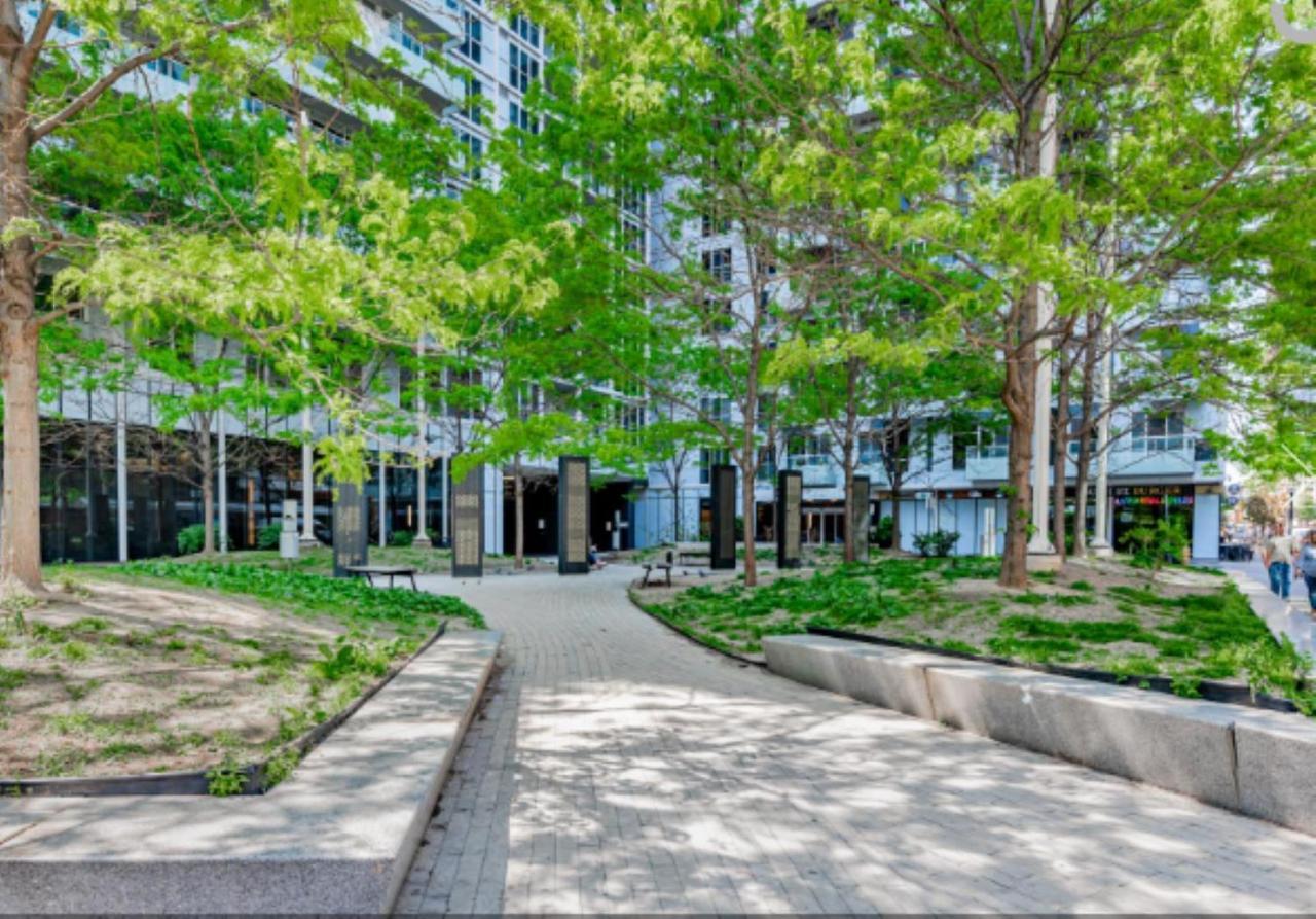 Executive 2 Beds Near Cn Tower, Rogers Centre, Scotia Area, Business District, Entertainment District, Lakeshore Toronto Ngoại thất bức ảnh